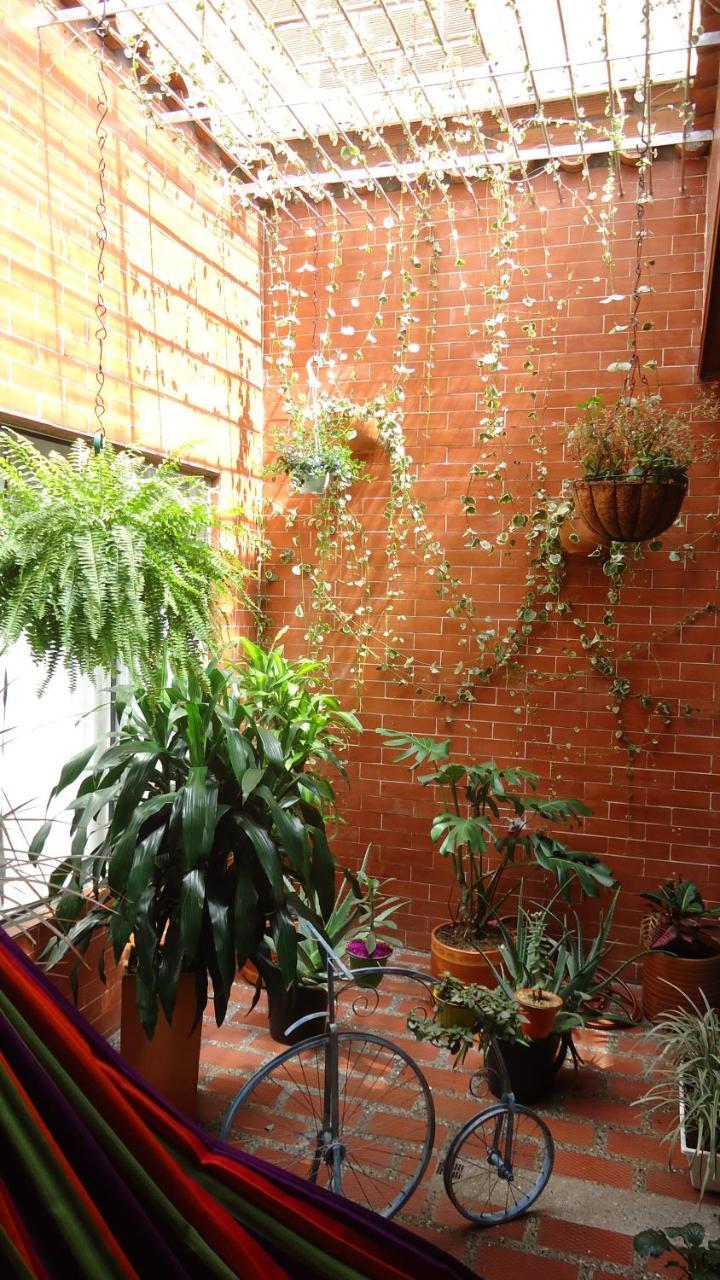 Iris Hostel Medellín Extérieur photo